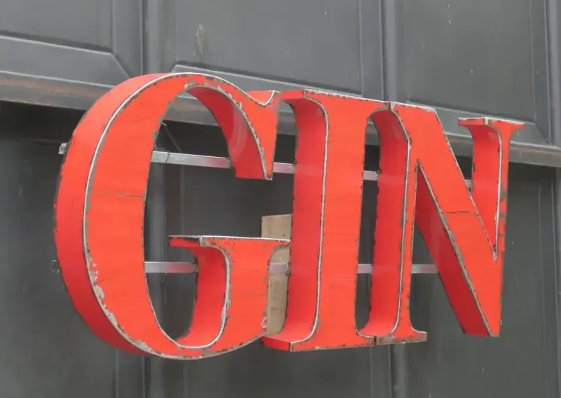 Product image of the product “Capital Letters - GIN on metal frame Height about 50cm. open on the back side. red color letter. ”